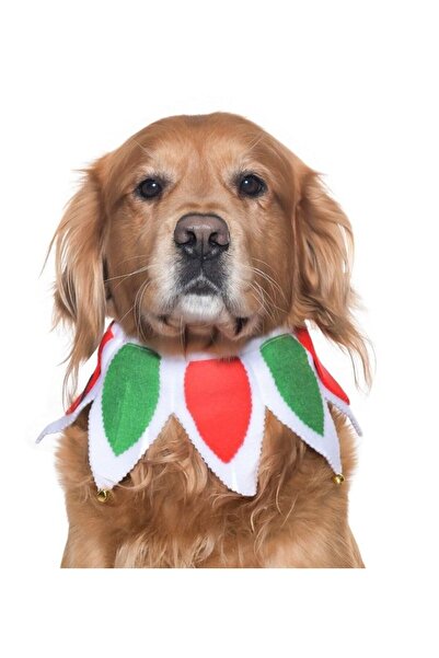 Petza Köpek Lastikli Yılbaşı Yakalık Zazu