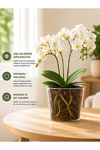 Poliwork 1,5 Litre Şeffaf Orkide Saksısı Salep 13 Plastik Saksı Çiçek Saksısı...