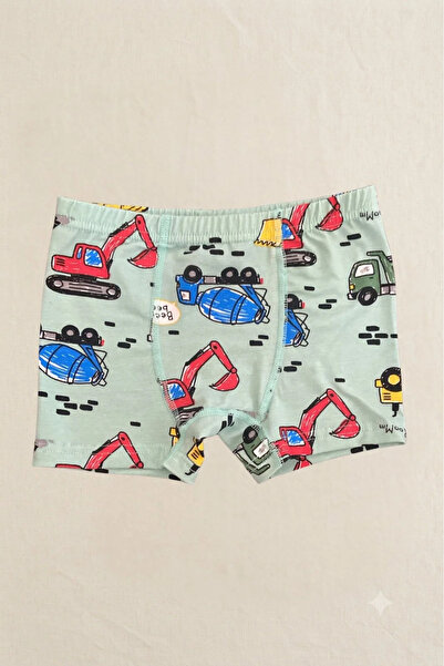 elmas kids Erkek Çocuk Pamuklu Mavi Dinazor Desen 5 Li Boxer