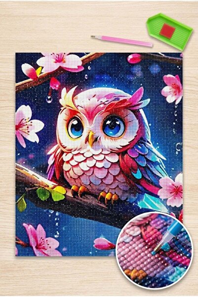 LİVA CRAFT Art & Craft Diamond Mosaic Painting, 50X40Cm Pink Owl Bead Gluing Kit