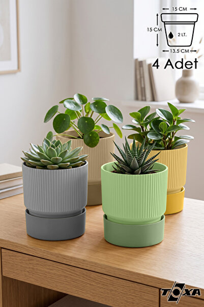 ToXA 4 Adet 2 Litre Karışık Iksora Saksı Dekoratif Tabaklı Çiçek Kaktüs Saksı...