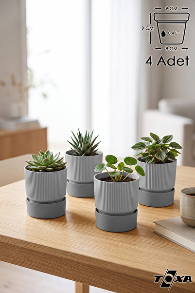 ToXA 4 Adet 0.4 Litre Gri Iksora Saksı Küçük Boy Mat Tabaklı Plastik Çizgili ...