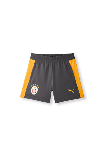 GSStore Galatasaray Puma Kids Training Shorts 78764706