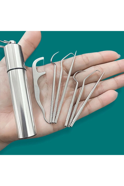 Choice 7pcs Stainless Steel Toothpick Set Reusable Toothpicks Tooth Flossing ...