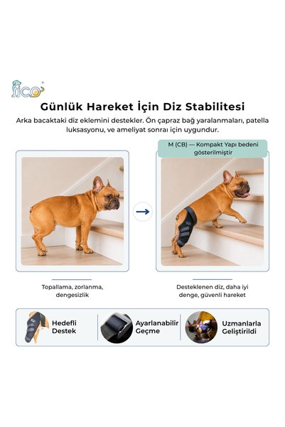 Fico pets Dog Knee Brace Left Rear Leg Cruciate Ligament Support