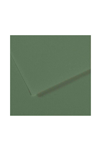 Canson Dokulu Fon Kartonu Mi-Teintes Sh Canmt 50X65Cm 160 Gram Grn Sage Yeşil...