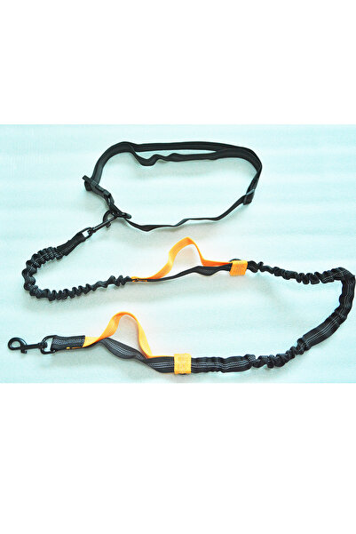 Choice orange Double Elastic Reflective Running Leash Portable Retractable Do...