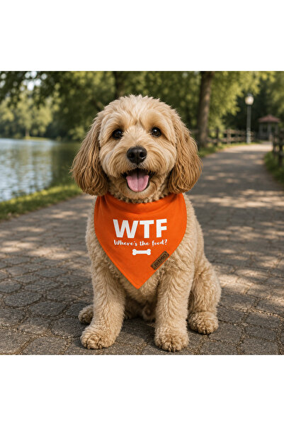 PATİMİO Wtf Cat And Dog Leash Scarf Bandana