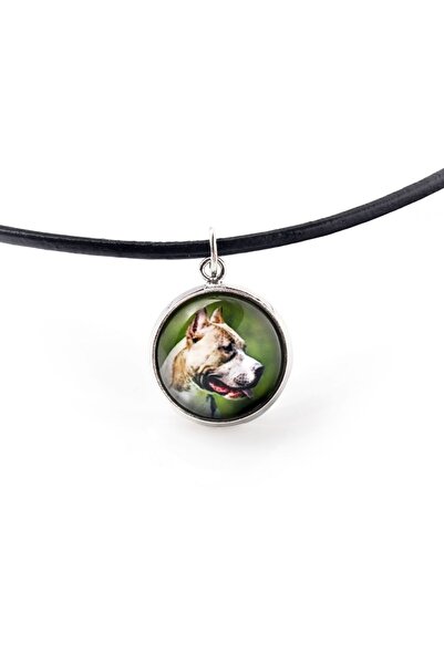Art - Dog Pit Bull - pandantiv pentru colier cu fotografia ta, lucrat manual,...