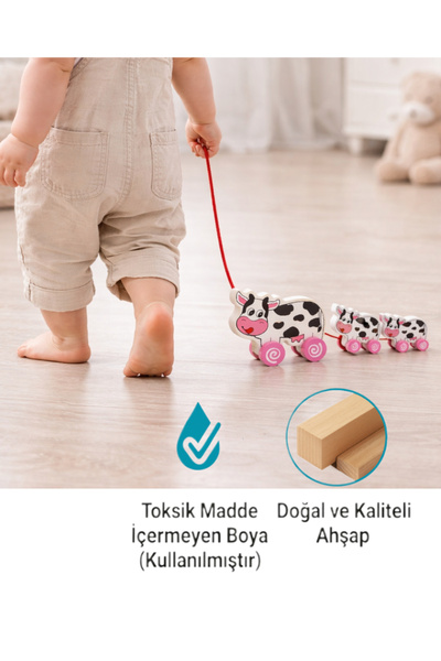 Nilberry Doğal Ahşap Çekçek İpli Yürüme Arkadaşı Eğitici Hayvan Seti Figürler...