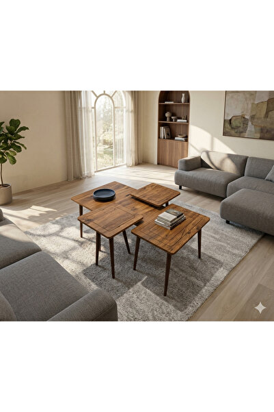 BAŞ ART SEHPA MDF 3'lü Orta ve Zigon Sehpa Takımı Set Modern Salon Sehpa Atla...