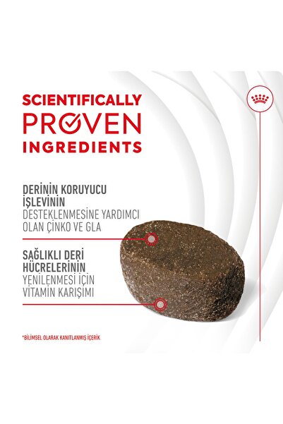 Royal Canin Skin&Coat Chews Deri ve Tüy Sağlığını Destekleyen Tamamlayıcı Ödül Maması 240g