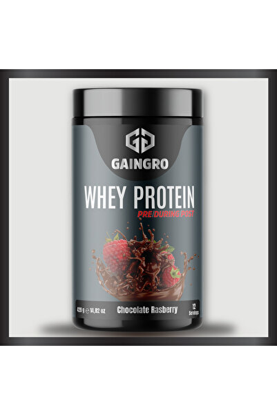 GAİNGRO Whey Protein Çikolata ve Ahududu Aromalı - 420 Gr 12 Servis