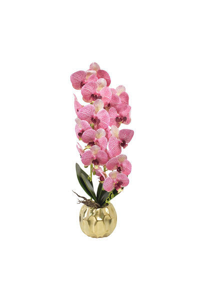 Naimeed Company Orhidee decorativă în ghiveci ceramic, 60 cm, Naimeed D4854, ...