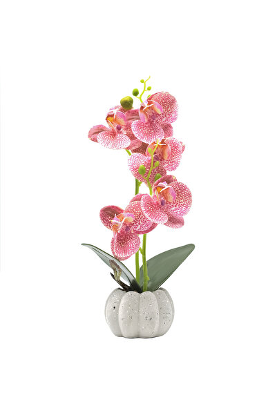 Naimeed Company Orhidee decorativă în ghiveci ceramic, 30 cm, Naimeed D4856, ...
