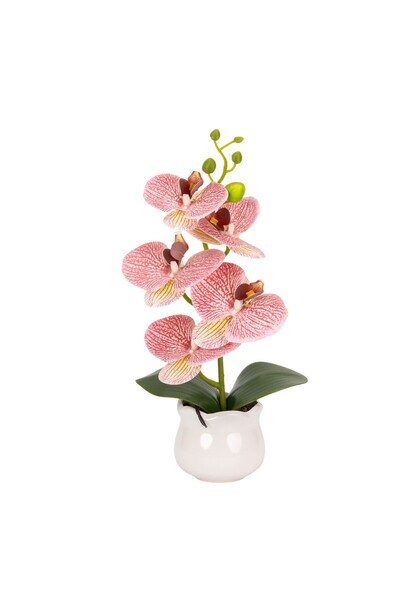 Naimeed Company -looking orchid in a ceramic pot, 49 cm, Naimeed D6891, Pink