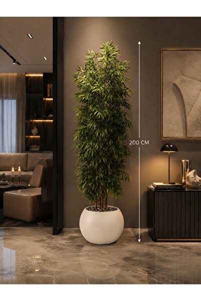 Rafef Bamboo Tree with Multiple Branches, 200 cm Long, with a Solid Core.