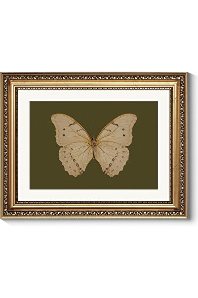 ALAYRA International Premium Classical White Butterfly Canvas Gold Frame 40x6...