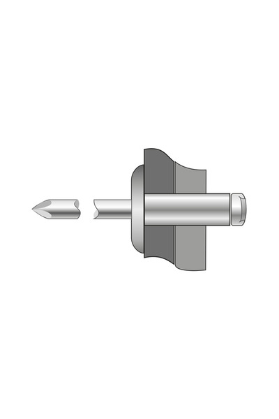 BRALO Set 250 x Pop-Nituri Cap Lat Inox A2Inox A2-4.8x 8 BR.1310004808S