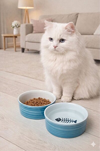 ŞURA MUTFAK 2 Li Seramik Kedi Mama ve Su Kabı 300ml