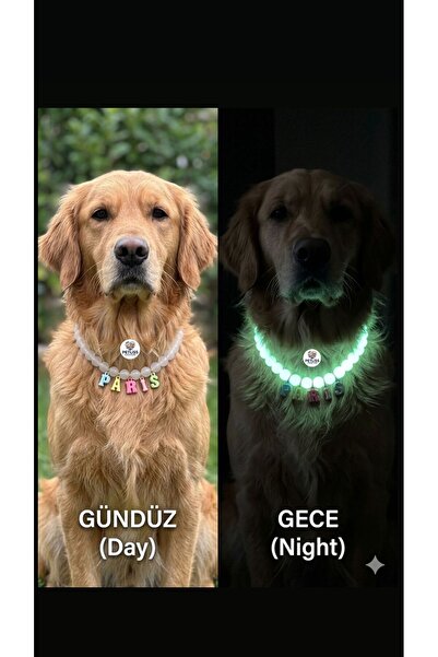 Özel Tasarım Gece Parlayan Kolye / Glow In The Dark / Köpek Kolyesi / Köpek A...