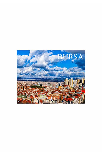 Gokco Buzdolabı Süsü Magnet Bursa
