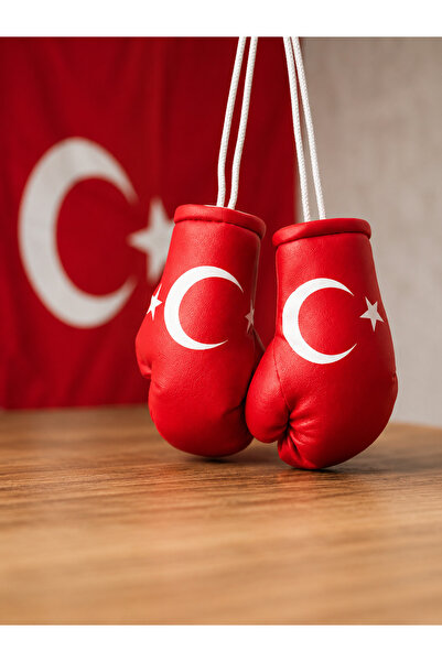 Titan Sport Türk Bayraklı Hediyelik Boks Eldiveni