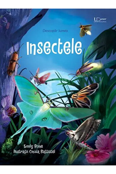 Univers Enciclopedic Junior Insectele (Usborne)