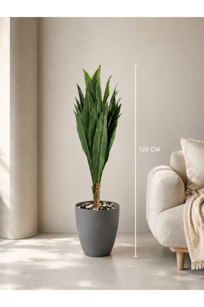 Rafef 120 cm Tall Drassena Tree with Stand