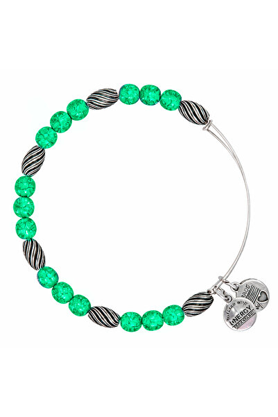 Alex and Ani Metal Bracelet A12EB159RS