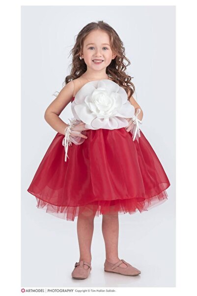 aykidsclup Girl's Floral Detailed Tulle Evening Dress - Princess Dress 1681-Y