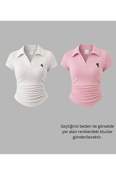 Gofeel Women's 2 Li Vintage Polo Collar Ribbed Lycra Blouse