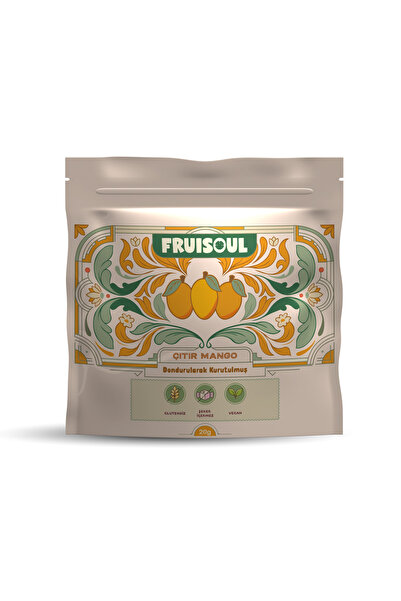FRUISOUL Mango Cipsi - Dondurularak Kurutulmuş Freeze Dried Çıtır Mango