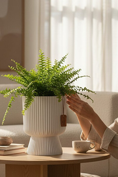 TEMMUZ HOME Lotus 1 Adet 1.8 Litre Ayaklı Saksı - 19.5 cm X 14 cm Çiçek ve Bi...