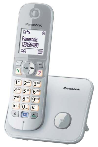 PANASONIC KX-TG6811GS argintiu perlat