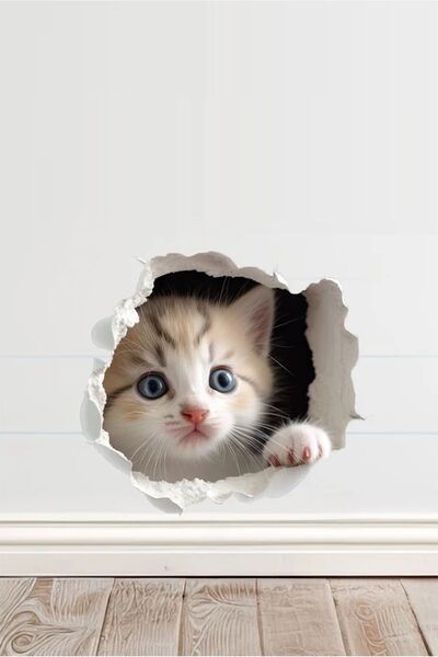 TUGİBU Gerçekçi Görünüme Sahip Sevimli Kedi Duvar Sticker, Yavru Kedicik Priz...