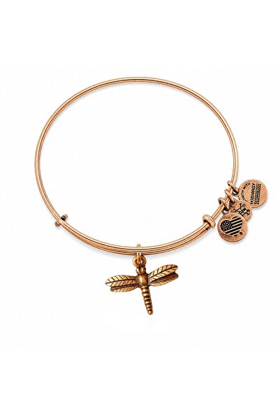 Alex and Ani ΓΥΝΑΙΚΕΙΟ ΒΡΑΧΙΟΛΙ A12EB16RG (19-25ΕΚ.)