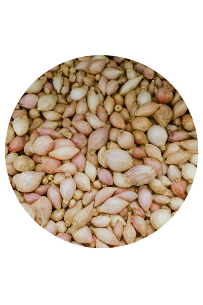 BIO GARLIC ثوم يمني ذكر 100 جرام