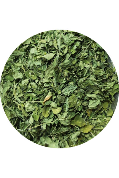 HERBS أوراق المورينجا 100 جرام