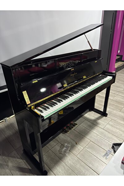 DAPHNIS DP-226 duvar tipi dijital piyano (KULAKLIK VE TABURE HEDİYE)
