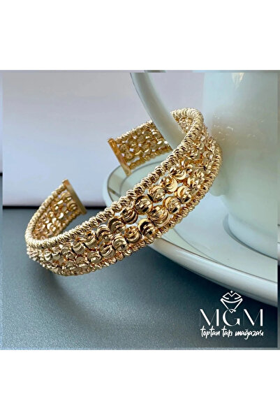 Marsilyan NVDN- Ieg - سوار دوريكا IEGRS-NVDN1