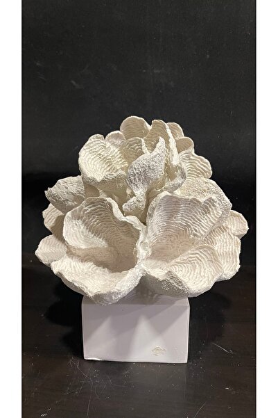 Paintdecor Kaideli Mercan Polyester Obje