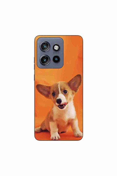 OEM Husa compatibila cu Motorola Edge 50 Neo Silicon Gel Tpu Model Catelus