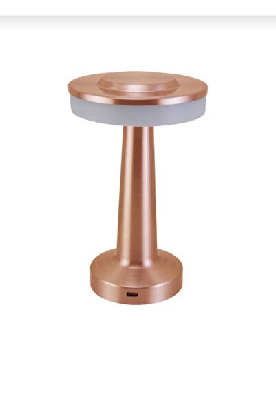 NEWSTORE HOME Modern Dokunuşlu USB Şarjlı Masa Lambası - Metalik Şık Tasarım