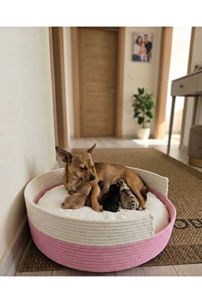 Be Cat Cat & Dog Bed, 40 cm Cotton Cord Rope, Wicker Cat Bed, Plush Cushion B...