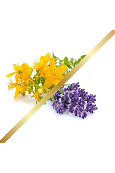 Herbstore.gr Βαλσαμέλαιο (Σπαθόλαδο) με Λεβάντα