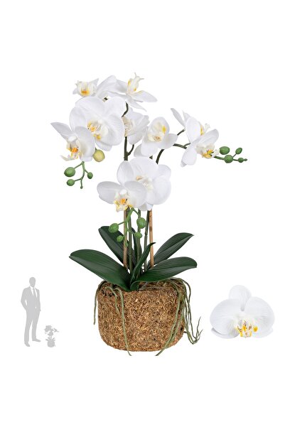 Roberto Rossi Orhidee artificiala alba cu aspect H49 cm cu 3 tulpini