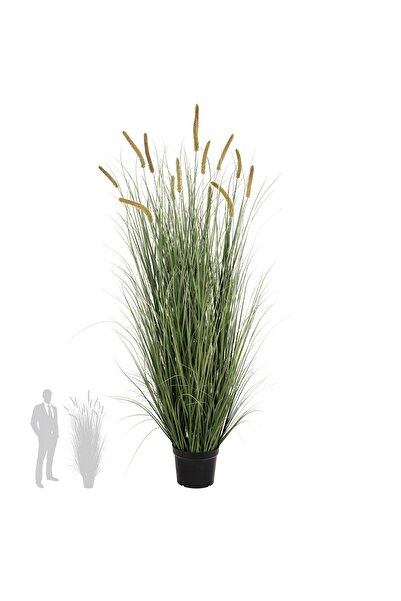 Roberto Rossi Iarba artificiala Onion Cattail 180 cm cu 14 flori verde cu galben