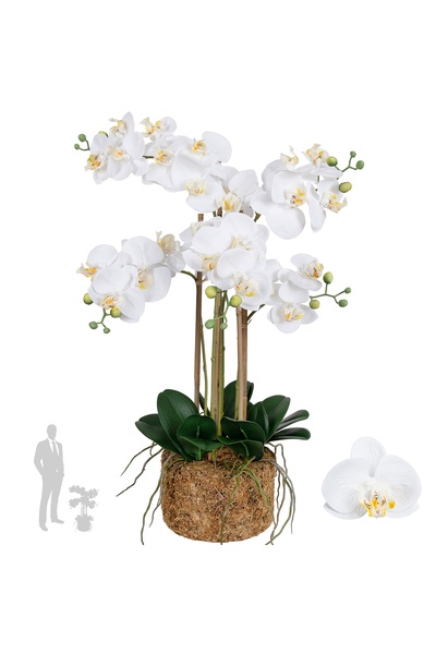 Roberto Rossi Orhidee artificiala alba cu aspect H72 cm cu 6 tulpini