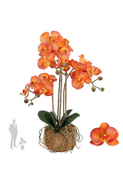 Roberto Rossi Orhidee artificiala portocaliu cu grena cu aspect H65 cm cu 3 t...
